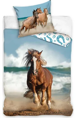 Produktbild von Baumwollbettwäsche Horse on the