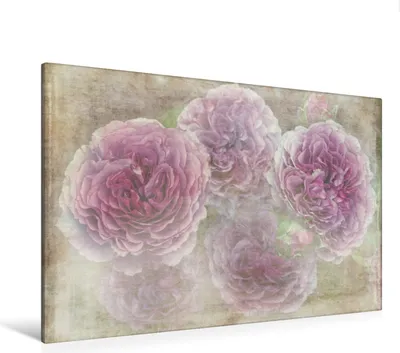 Produktbild von Calvendo Textil-Leinwand 120 cm x 80 cm quer Romantische Rosen - Shabby Chic Style, Cross Martina; 7295935