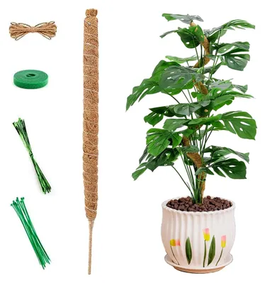 Produktbild von Monstera Rankhilfe - 120 cm Moosstab für Pflanzen, Biegsamer Stab für Kletterpflanzen mit Zubehör