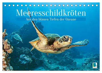 Produktbild von Meeresschildkröten: Aus den blauen Tiefen der Ozeane (Tischkalender 2027 DIN A5 quer), CALVENDO Monatskalender