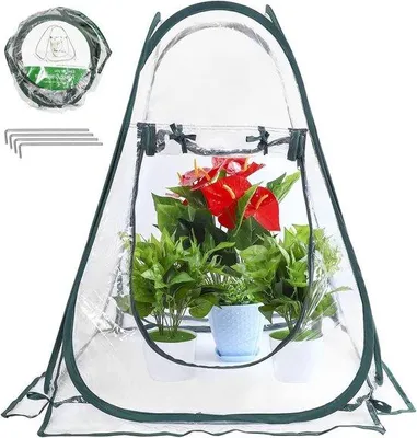 Produktbild von Famanu Pop-up Gewächshaus für Gartenpflanzen - Schutz vor Frost - 1 Stück - PVC - 70 x 70 x 80 cm