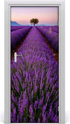 Produktbild von Tulup Türaufkleber 85x205 cm Dekorative Aufkleber Selbstklebend Wasserdichte Tapete Abnehmbar Schlafzimmer Wohnzimmer Wohnkultur - Lavendelfeld
