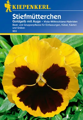 Produktbild von Kiepenkerl Kiepenkerl Stiefmütterchen Goldgelb mit Auge