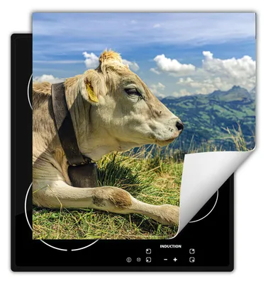 Produktbild von DarHaus Herdabdeckplatte 50x52 cm Anti Rutsch Matte Aufrollbar, Kuh