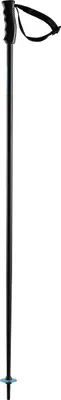 Image de Bâtons de ski HEAD MULTI noir bleu vitesse 2024_25 125 cm