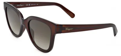 Produktbild von Ferragamo SF1066S Dark crystal brown 52/21/140 Damen Sonnenbrillen