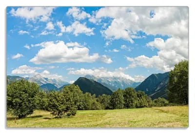 Produktbild von Wallario Frühstücksbrettchen aus Glas 20 x 30 cm mit rutschfesten Füßen, Motiv Bergwiese in den Alpen