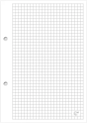 Produktbild von Interdruk  Ringbucheinlage A5 kariert 100 Blatt