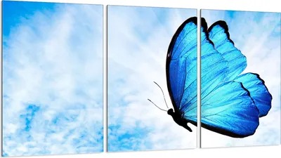 Produktbild von Herdabdeckplatten 3 teilig 30x52 Glaskeramikkochfeld Abdeckung Glas, Schmetterling Blau