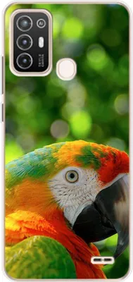 Productafbeelding van König Design hoesje, compatibel met de ZTE Blade A52, van zacht plastic - telefoonhoesje met een papegaai-motief