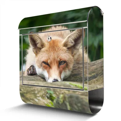 Produktbild von Edelstahl Briefkasten mit Zeitungsfach Fuchs Relax großer Design Postkasten rostfrei, A4 Einwurf [BKGE2 12902]