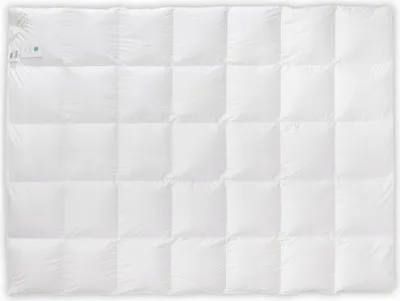 Image de Couverture en duvet toute l'année 70% 135x200 Basic+ blanc 1100g AMZ