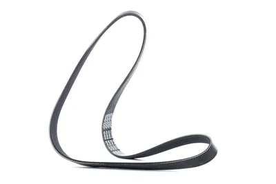 Produktbild von DAYCO Keilrippenriemen 1076,0mm für VW Golf IV Schrägheck (1J1) 6PK1076