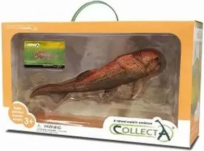 Produktbild von COLLECTA Geschenkset - Vorgeschichte