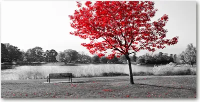 Produktbild von Tulup Glas-Bild -140x70- Wandkunst Dekorative Wand für Küche & Wohnzimmer - Landschaften - Roter Baum - Rot