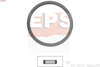 Produktbild von EPS Dichtung Thermostat 1.890.601