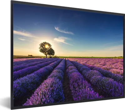 Produktbild von MuchoWow® Gerahmtes Poster Lavendel - Sonne - Baum - Blumen - Lila 80x60 cm - Poster mit Schwarzem Bilderrahmen Wandposter Rahmen Foto Bilder - Schwarzem - Mit Gestell