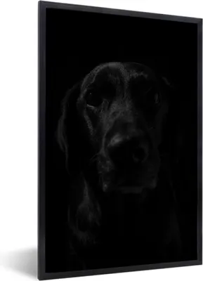 Produktbild von MuchoWow® MuchoWow® Gerahmtes Poster Hund - Haustier - Schwarz 60x90 cm - Poster mit zchwarzem Bilderrahmen - Kunst