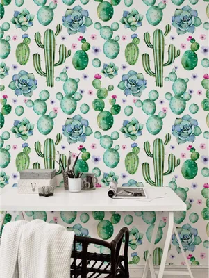 Produktbild von Coloray Fototapete 152x104 cm An Einer Wand Latex Latextapete -  Kaktus Sukkulenten.