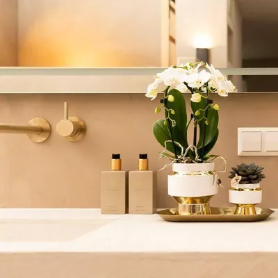 Immagine prodotto di Vassoio ovale in metallo dorato 30x13 cm, piatto decorativo per piante e decorazioni, vassoio decorativo