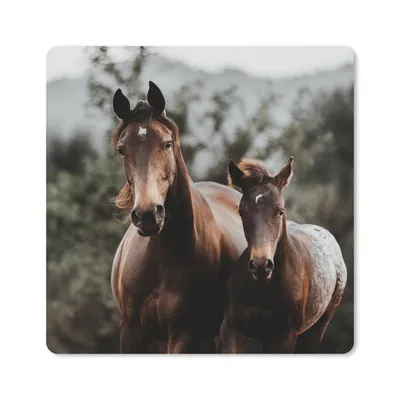 Produktbild von MuchoWow® Mauspad Mousepad Pferde - Wald - Berge 20x20 cm - Mousepads - Maus Mat - Pad - Mausunterlage - Desk Mat - Bureauartikeln