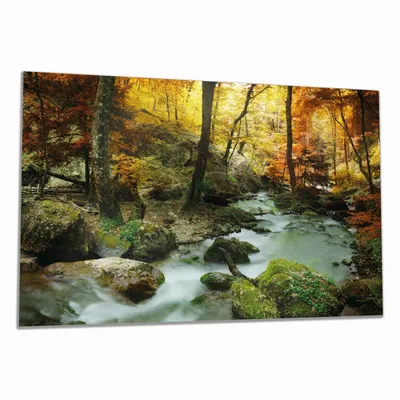 Produktbild von Wallario Herdabdeckplatte aus Glas, Größe 80 x 52 cm 1-teilig, Motiv Wasserfall mit moosbedeckten Steinen im Herbstwald