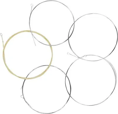 Zdjęcie produktu dla Zestaw naciągów Banjo - 5-Snare Music - Muzyka - Stal nierdzewna - 5 sztuk - Srebro