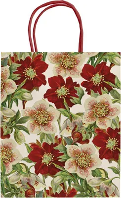 Image de Sac en papier cadeau Baies de Noël Hellébore