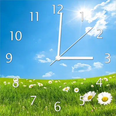 Produktbild von Wallario Design Wanduhr Sommerwiese - Weiße Gänseblümchen vor blauem Himmel aus Echtglas, Größe 30 x 30 cm