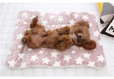 Immagine prodotto di Tappetino/cuscino/coperta rosa, 81x62 cm, morbido, lavabile, per cani e gatti