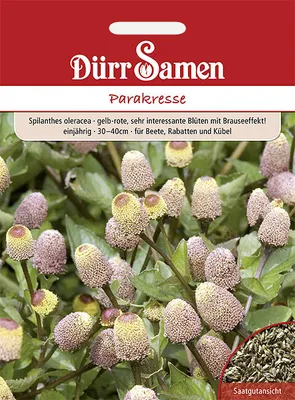 Produktbild von Dürr-Samen - Parakresse - Saatgut - 1865