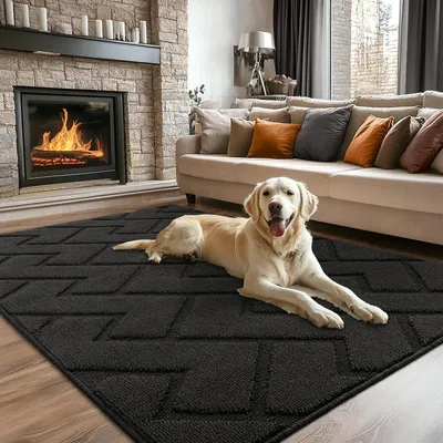 Produktbild von Rutschfeste Fußmatte – Schmutzfangmatte – Wasserabsorbierend – 119 x 180 cm