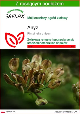 Zdjęcie produktu dla SAFLAX - Anyż - 200 Nasiona - Z podłożem uprawowym wolnym od zarazków - Pimpinella anisum