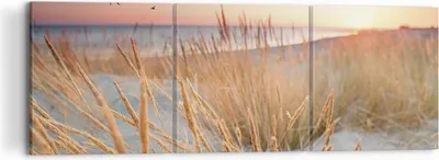 Produktbild von Bild auf Leinwand - Leinwandbild - 3 Teile - Sonne Vögel Sand - 120x40cm - Wand Bild - Wanddeko - Wandbilder - Leinwanddruck - Bilder - Wanddekoration - Leinwand bilder - Wandbild - CA120x40-4810
