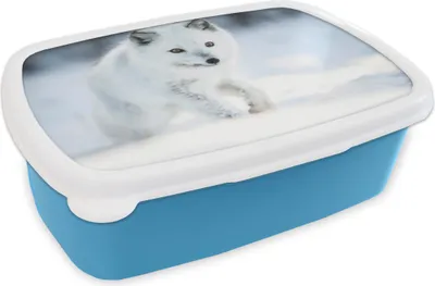 Produktbild von KitchenYeah® Lunchbox Brotzeit Brotdose 17x11 cm Fuchs - Weiß - Schnee Kinder Brotzeitdose - Lunch - Kunststoff  - Brotbüchse - Sandwichbox - Lunchbox für Kinder