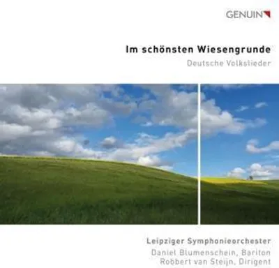 Produktbild von Im schönsten Wiesengrunde-Lieder