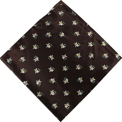Produktbild von Trachtentuch Halstuch mit Edelweissmuster Nikituch 60x60, Farbe:Dunkelbraun