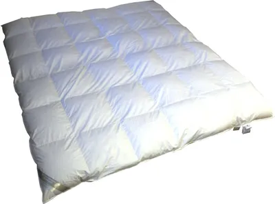 Produktbild von Betten Hofmann White Sibiria Schneegänse 10cm Hochsteg Winter Daunendecke 6x7 240x220 superwarm
