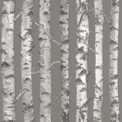 Produktbild von ESTAhome Tapete Birkenstämme Taupe Grau und Hellgrau 53 cm x 10.05 m