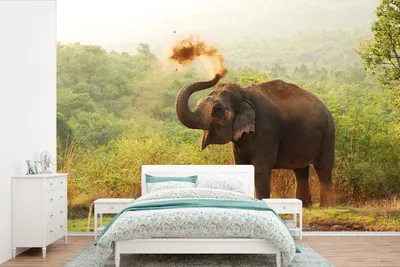 Produktbild von MuchoWow® Fototapete für Wohnzimmer oder Schlafzimmer Wandtapete Vinyl Motivtapete Reinigungselefant - 330x220 cm - Fototapeten