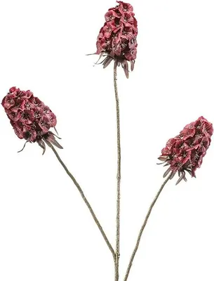 Produktbild von Warentuin Producten