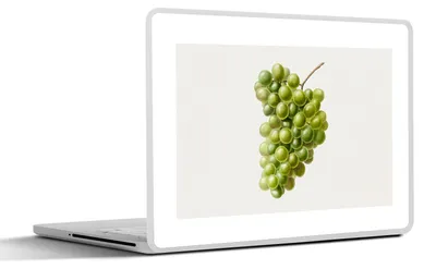 Produktbild von MuchoWow® Laptop Aufkleber Sticker Cover Lebensmittel - Weintrauben - Obst 25x18 cm - Laptop-Deko