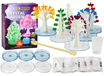 Image de Kit pédagogique créatif pour la culture d'arbres en cristal