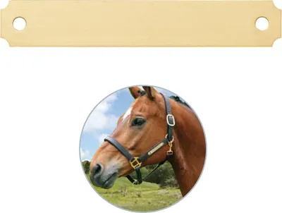 Produktbild von Identifikationsschild Imarc Mounts Gelb