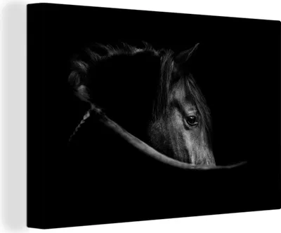 Obrázok produktu pre OneMillionCanvasses® - Obrazy na plátne - 140x90 cm, Kone - Portrét - Čierna - Zvieratá, Nástenná umelecká tlač Nástenná dekorácia - Fotografia na plátne - Obraz na drevenom ráme