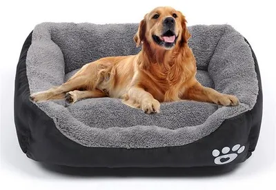 Immagine prodotto di Cuccia per cani di piccola taglia - Materasso lavabile per animali - Cuccia traspirante e confortevole - Adatta a cani fino a 3 kg - 43 cm x 32 cm