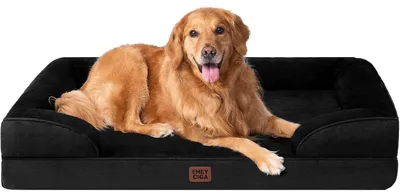 Immagine prodotto di Cuccia ortopedica per cani, taglia XL, 112x81 cm, realizzata in memory foam, lavabile, impermeabile e antiscivolo, colore nero