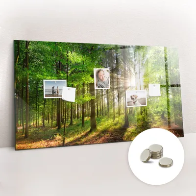 Obrázek produktu pro Magnetická Tabule na Zeď Skleněná - Memo Board Kleněnou Přední Stranou - 5 magnetů v balení - 120x60 cm - Východ slunce v lese