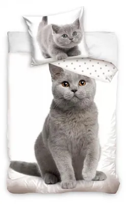 Immagine prodotto di Biancheria da letto con gatti - morbido cotone 140x200 cm Cuscino e coperta con coniglietti