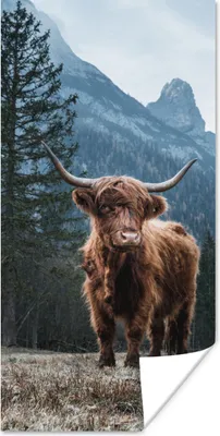Produktbild von MuchoWow® Poster Schottische Highlander - Berg - Landschaft - Bäume - Kuh - Natur 60x120 cm - Wandschmuck